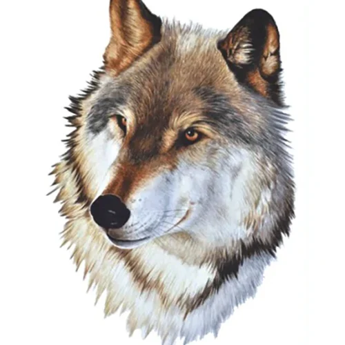 Real Wolf Head Tattoo