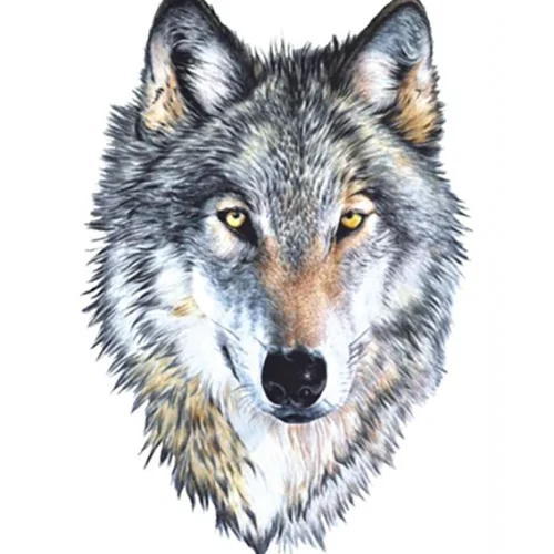 Real Wolf Temporary Tattoo Fake Sticker