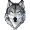 Grey Wolf Temporary Tattoo