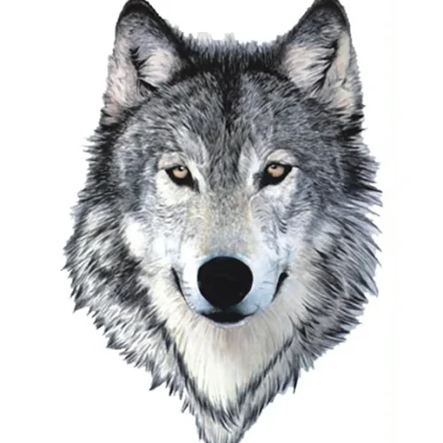 Grey Wolf Temporary Tattoo