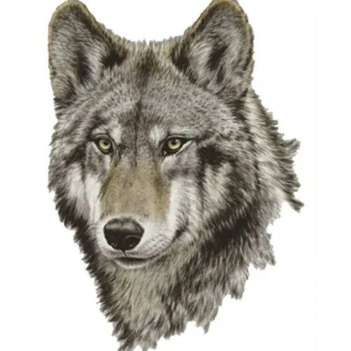 Tan Wolf Tattoo