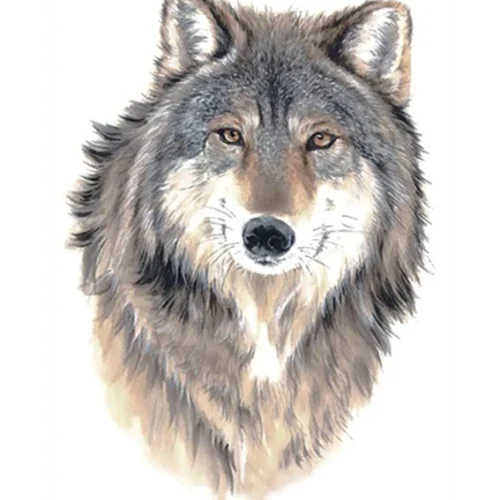 Real Wolf Tattoo