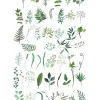 Greeneries Temporary Tattoo