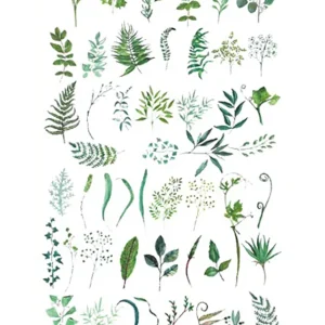 Greeneries Temporary Tattoo