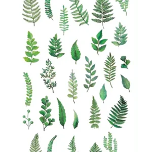 Green Plants Temporary Tattoo