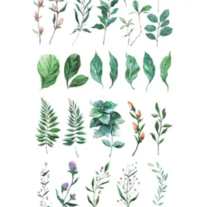 Branch Temporary Tattoo