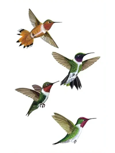 Four Hummingbirds Tattoo