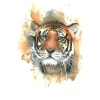 Light yellow Tiger Tattoo