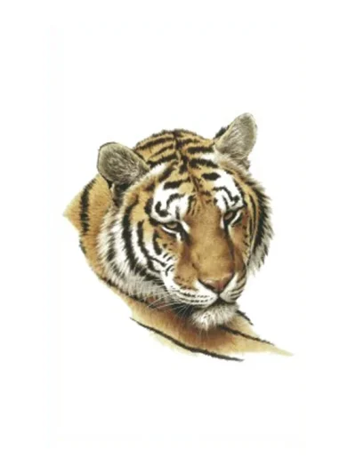Depressed Tiger Tattoo