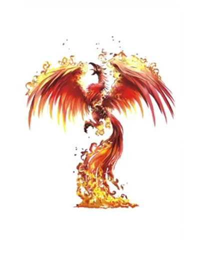 Flame Phoenix Tattoo