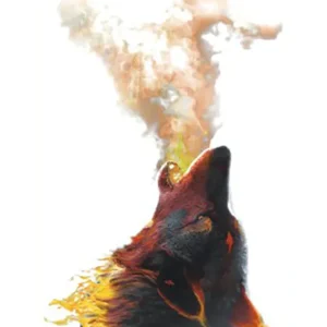 Spitfire Wolf Tattoo
