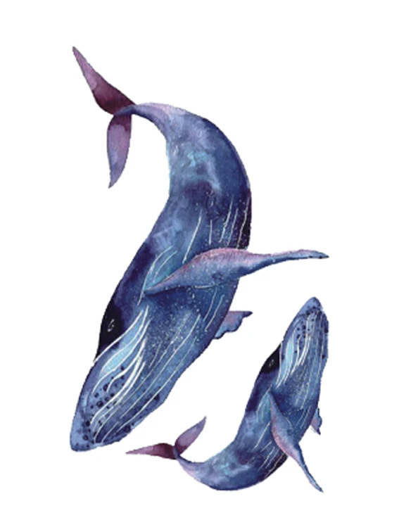 Blue Whale Temporary Tattoo