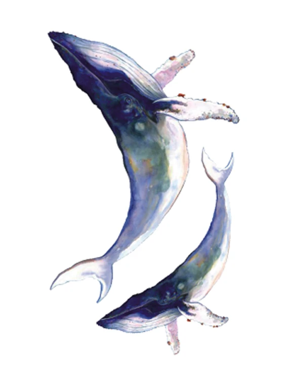 Blue Whale Fake Tattoo
