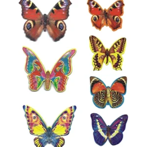 Moth Tattoo