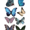 Blue Butterfly Tattoo