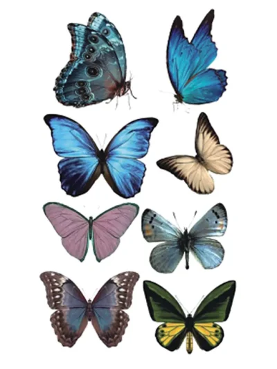 Blue Butterfly Tattoo