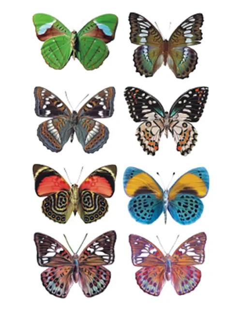 Leopard Butterfly Tattoo