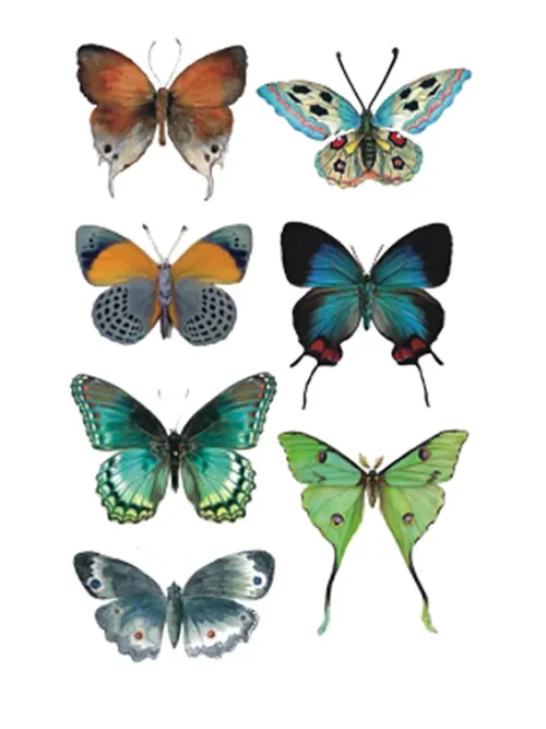 Green Butterfly Tattoo