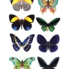 Beautiful Butterfly Temporary Tattoo