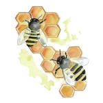 Honeycomb Tattoo