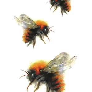 Red Bee Tattoo