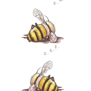 Sleeping Bee Tattoo
