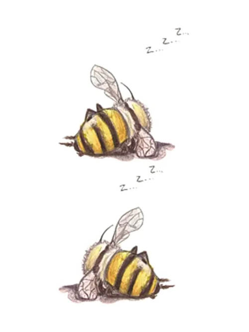 Sleeping Bee Tattoo