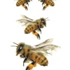 Bees Collecting Honey Tattoo
