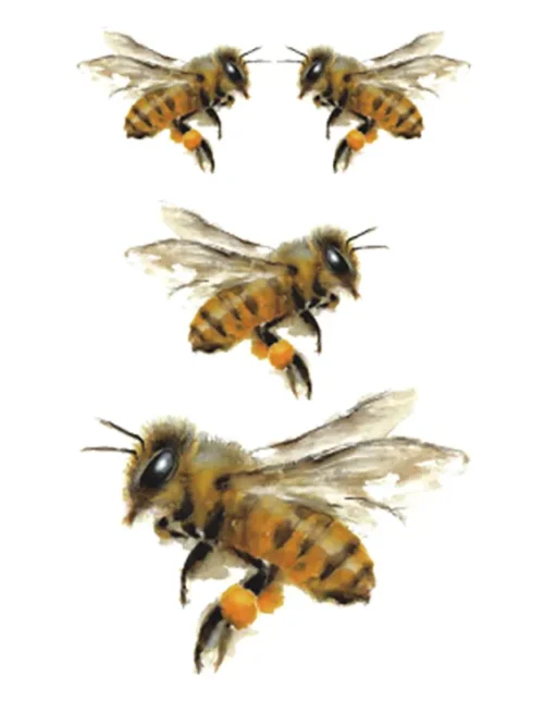 Bees Collecting Honey Tattoo