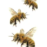 Bee Temporary Tattoo Fake Sticker