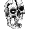 Separated Skull Tattoo