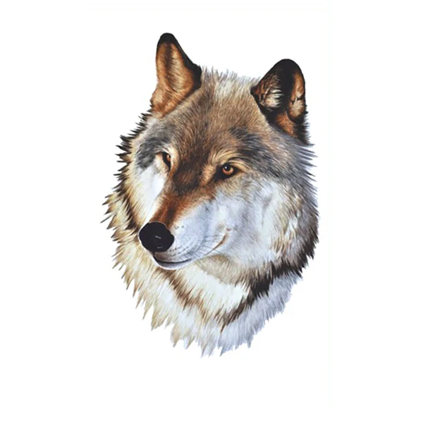 Real Wolf Head Tattoo