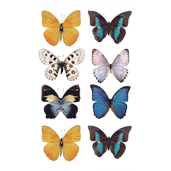 Butterfly Tattoo