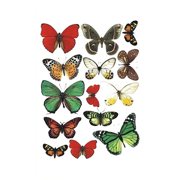 Green Red Butterfly Tattoos