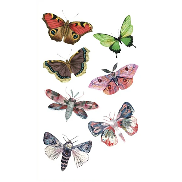 Moth Butterfly Temporary Tattoo
