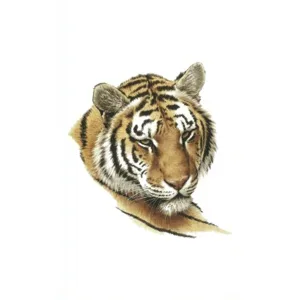 Depressed Tiger Tattoo